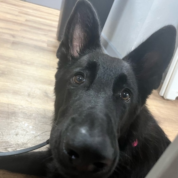 👉PLEASE LIKE AND SHARE NEW GAME! 😊🥰🎉 - Picture 8 of 16